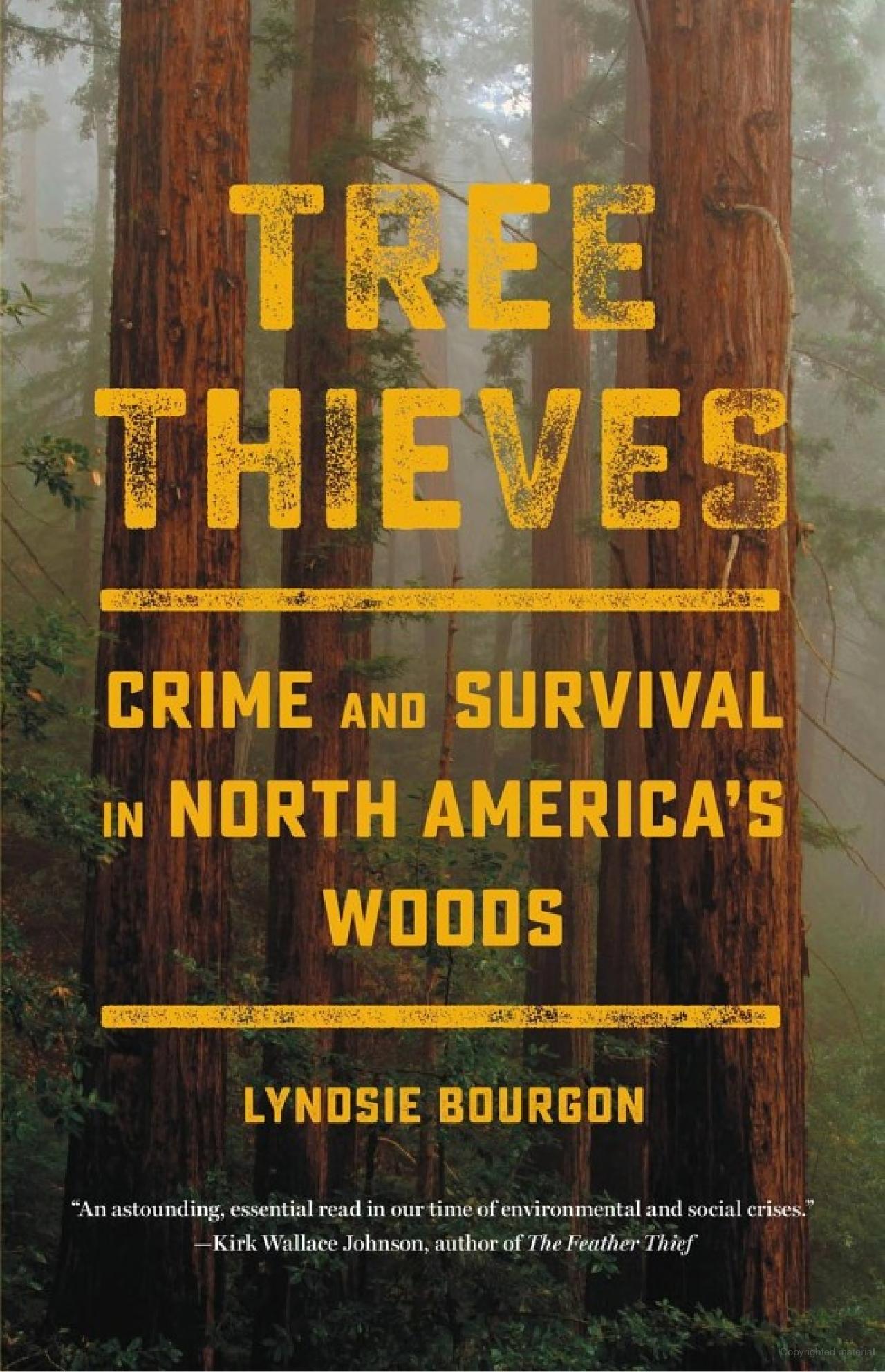 On Lyndsie Bourgon’s “Tree Thieves”
